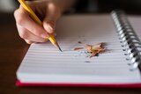 Hand mit Stift auf einem leeren Blatt Papier und Spitzerresten