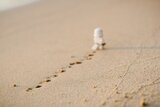 Figur läuft auf einem Sandberg nach oben